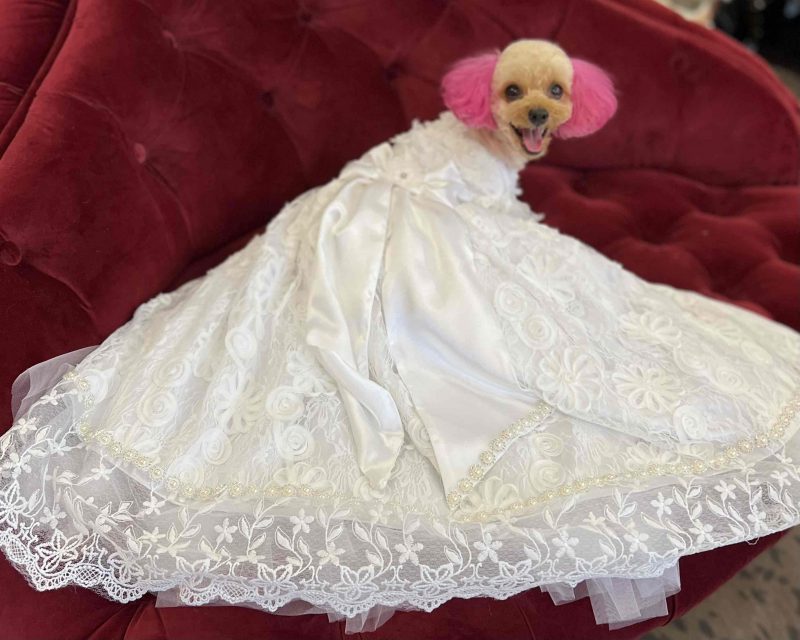 BONNIE&CO ボニーアンドコー　ドレス LC017_20220414.jpg