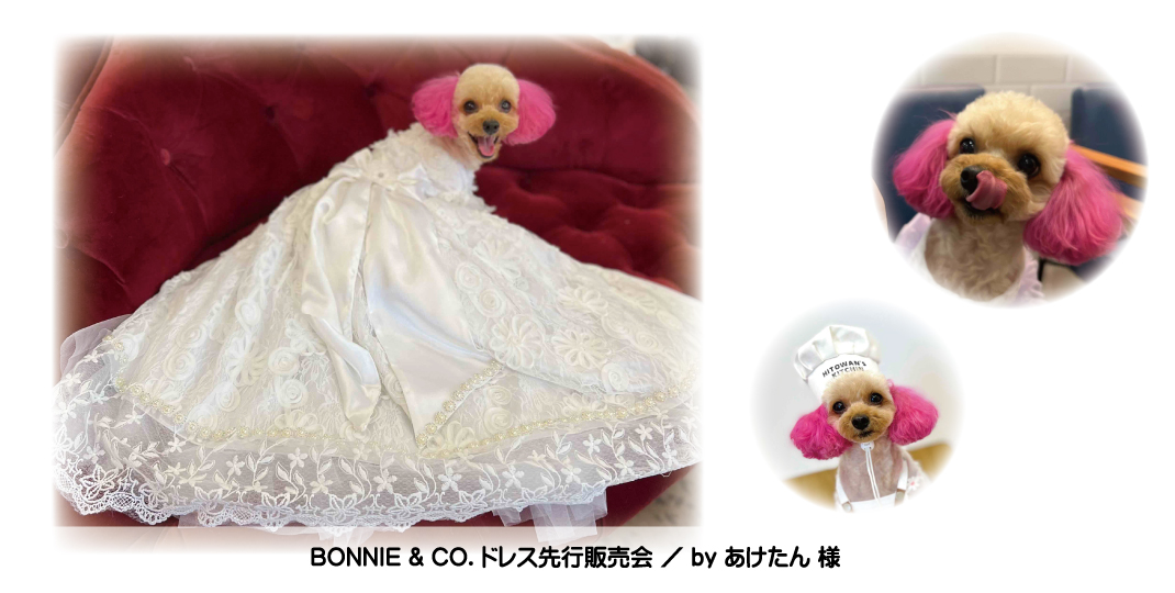 BONNIE&CO ボニーアンドコー　ドレス LC017_20220414.jpg