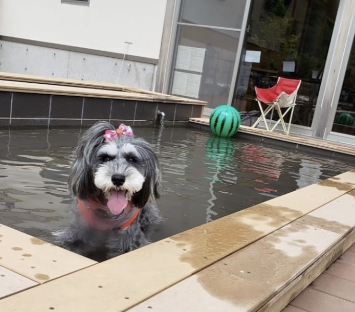 サーブアイランドへ犬生初のしつけ教室にいってきました！ ／ by
