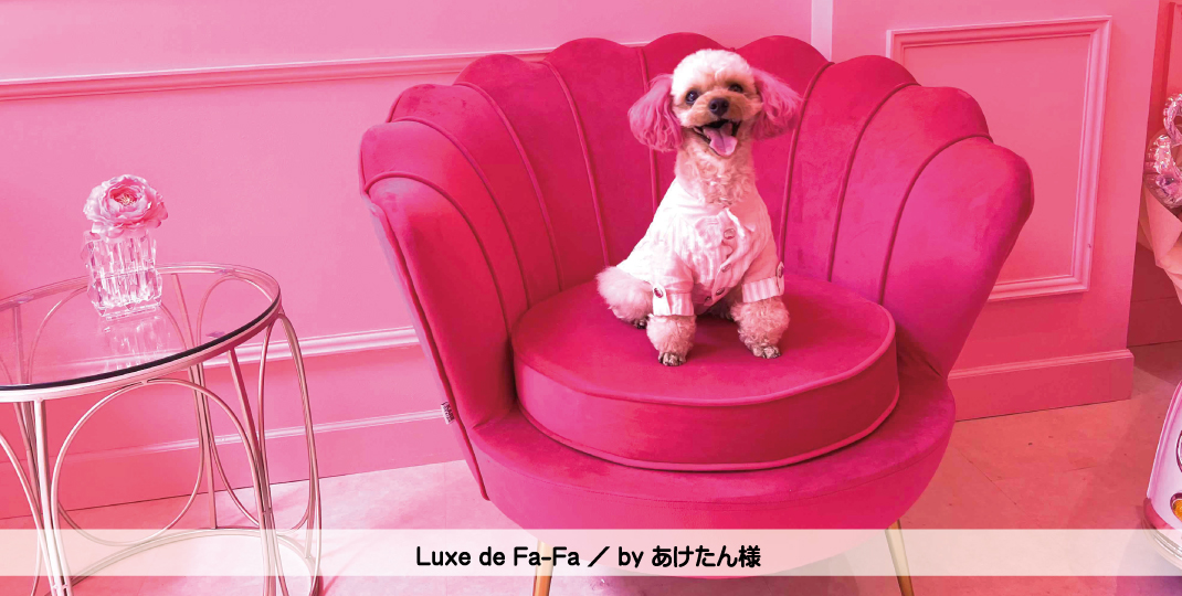 Luxe de Fa-Fa ／ by あけたん 様 - LUXCOLLE