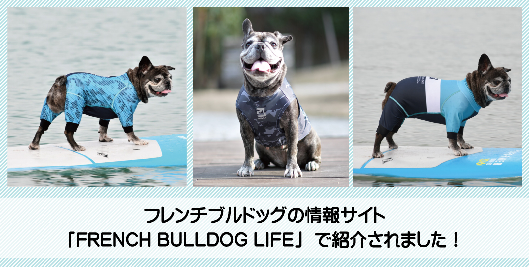 ビンテージ チョークウェア フレンチブルドッグ ブックエンド Bulldog ビンテージ チョークウェア フレンチブルドッグ ブックエンド Bulldog