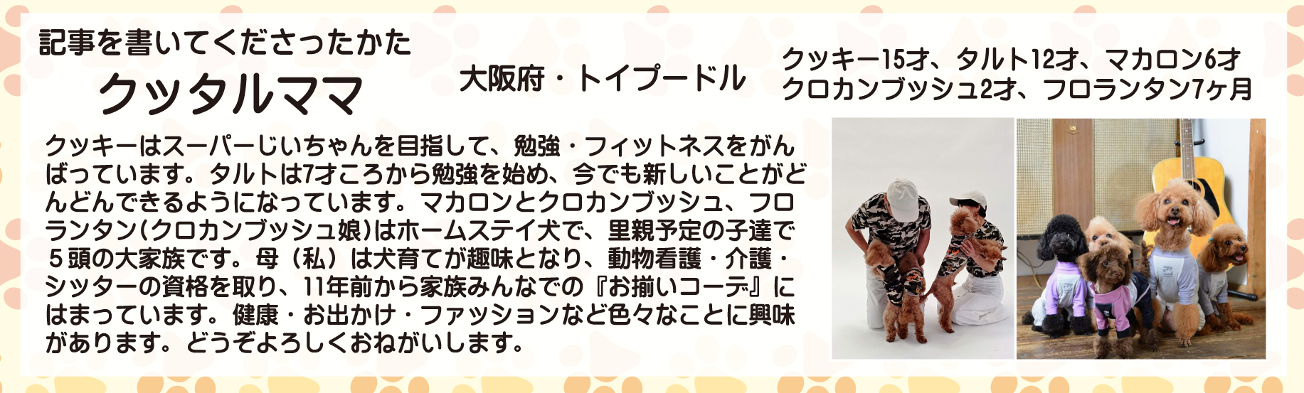 Luxcolleブログアンバサダータックルママ