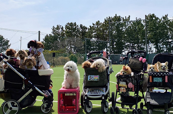 春の運動会/ｂｙタックルママ