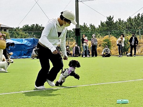春の運動会/ｂｙタックルママ