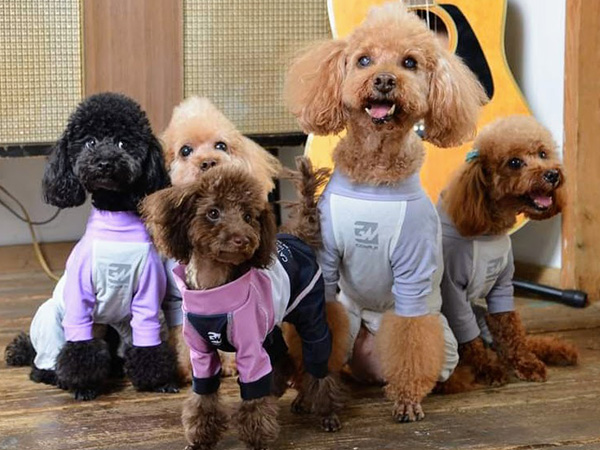 Gewalkのロンパース着用画像