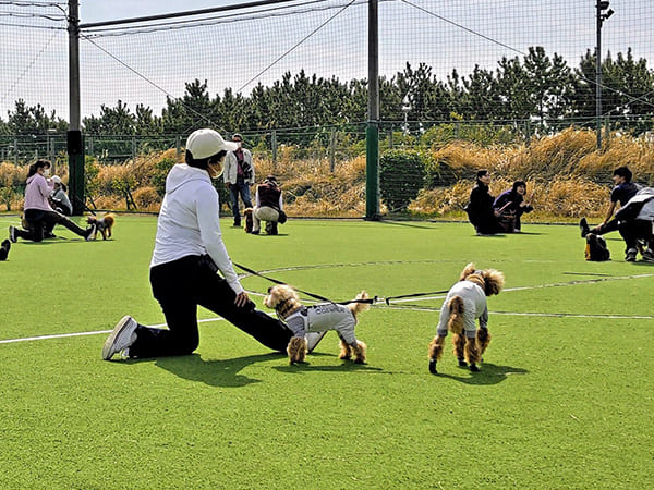 春の運動会/ｂｙタックルママ