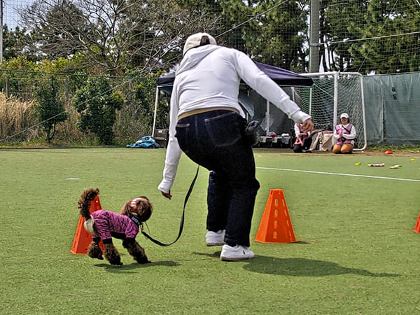 春の運動会/ｂｙタックルママ