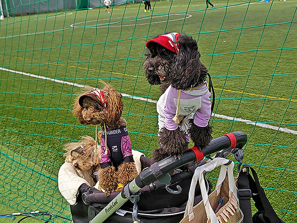 春の運動会/ｂｙタックルママ