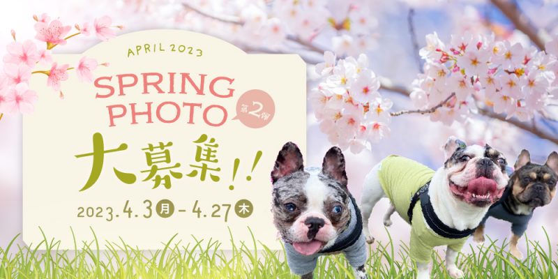 SPRING PHOTO大募集!第二弾
