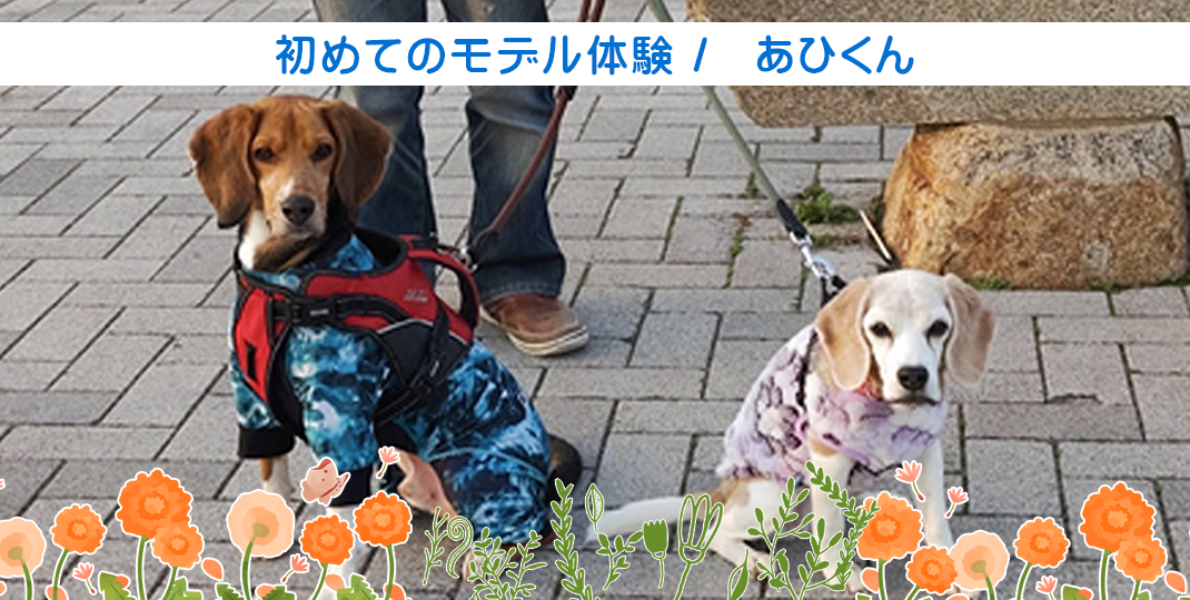 初めてのモデル体験