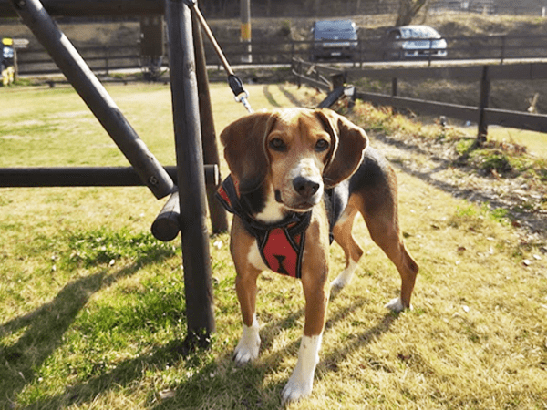 GEWALKを着こなす真くん