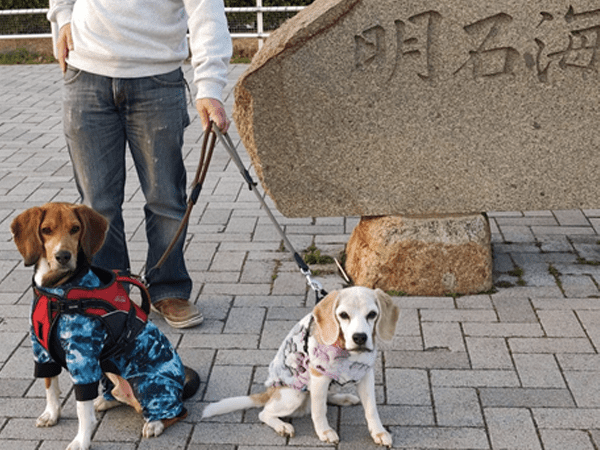 淡路サービスエリアにて