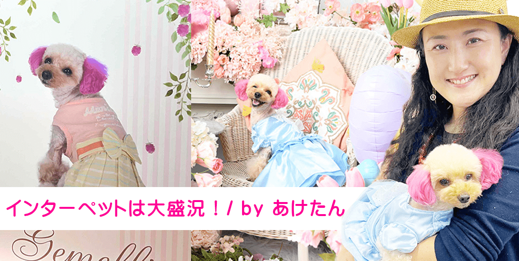 インターペット大阪大盛況