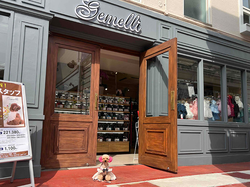 Gemelli自由が丘店