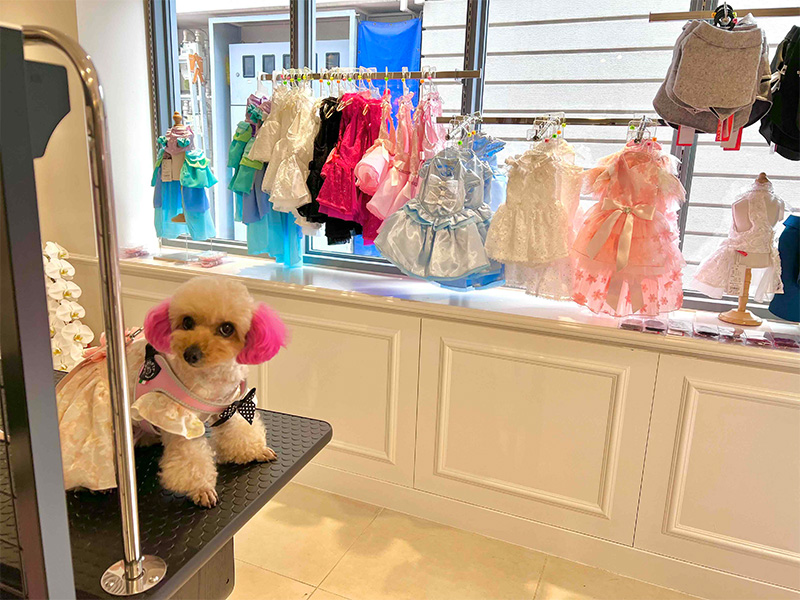 BONNIE&COのドレス