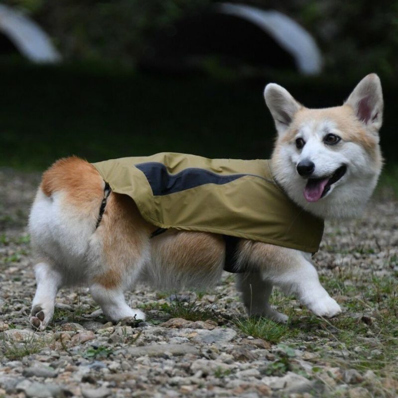 GEWALK レインコート