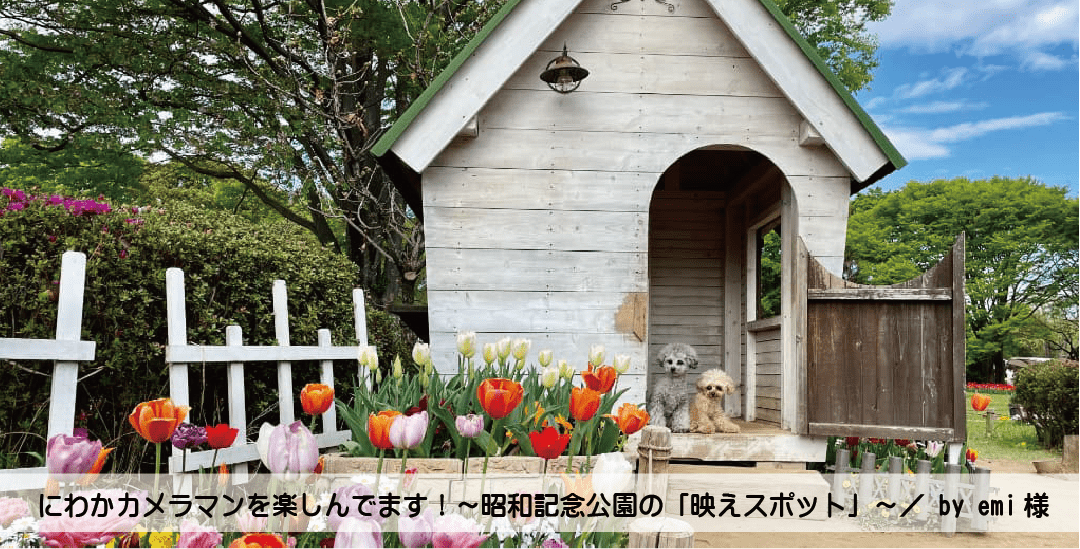 にわかカメラマンを楽しんでます！～昭和記念公園の「映えスポット」～／ by emi様