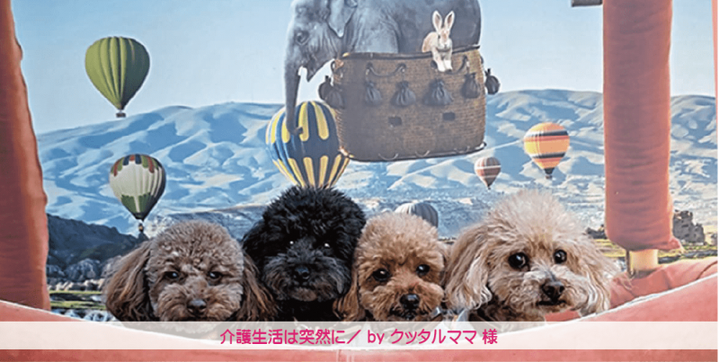 介護生活は突然に/タックルママ様