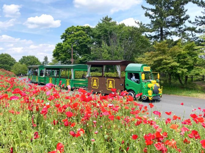 パークトレイン