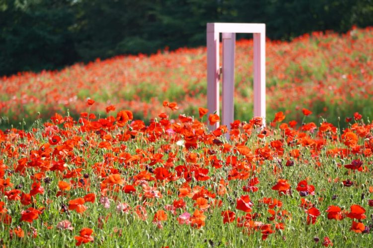 どこでもドア１