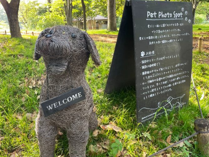 犬のフォトスポット