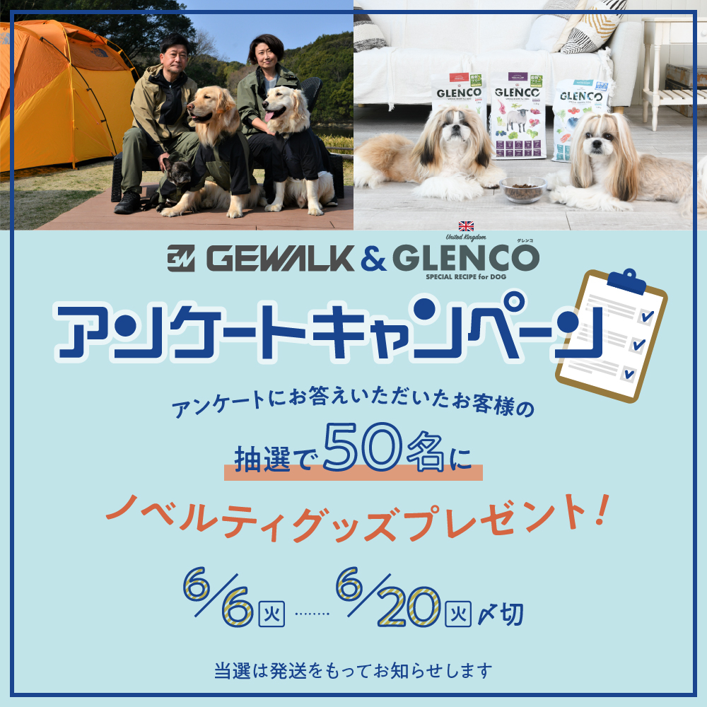【抽選で５０名様プレゼント】GLENCO・GEWALKアンケートキャンペーン