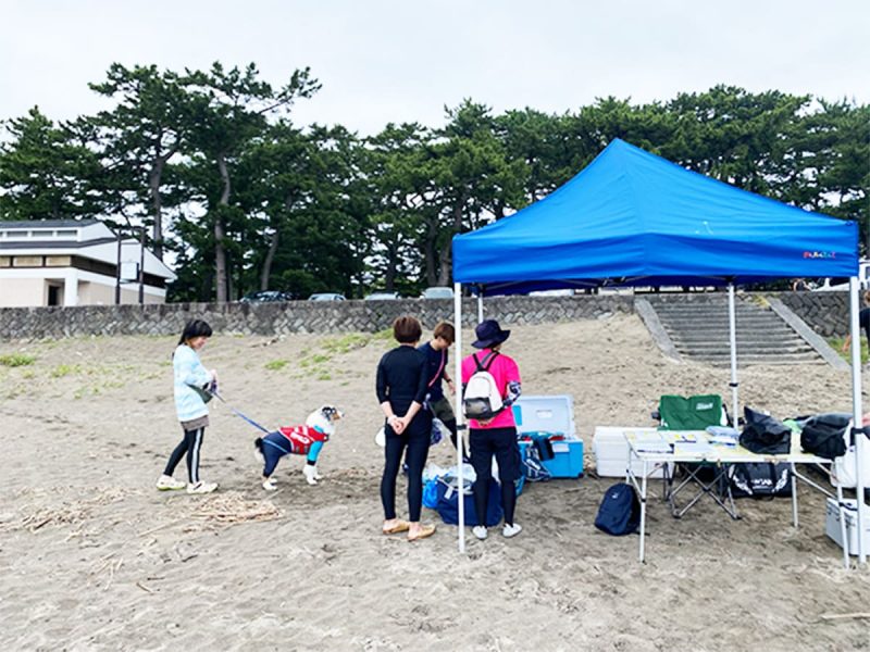 ハヤブサのロゴの入ったタープ