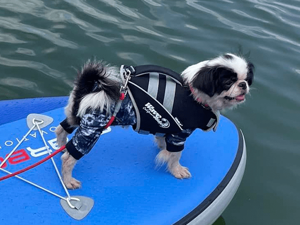 GEWALK 高性能のフローティングベスト ウェーブライダーライフベスト