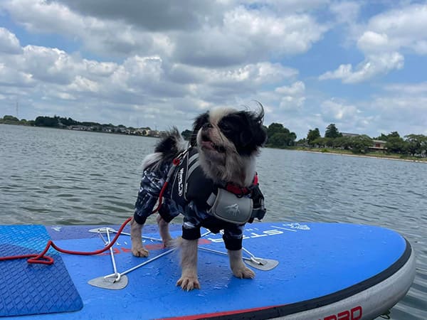 GEWALK 高性能のフローティングベスト ウェーブライダーライフベスト