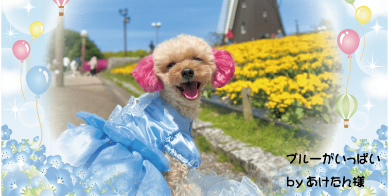 ブルーがいっぱい/ｂｙあけたん様