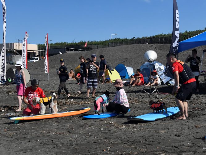 ドッグサーフィン