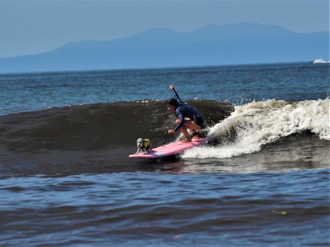 DOGサーフィンタンデムクラス