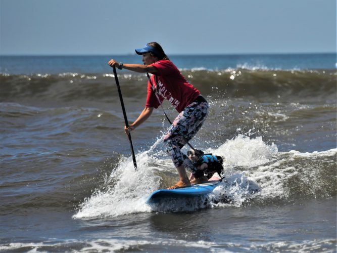 DOG　SUP　レースクラス