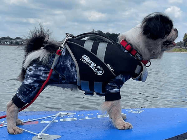 GEWALK 高性能のフローティングベスト ウェーブライダーライフベスト