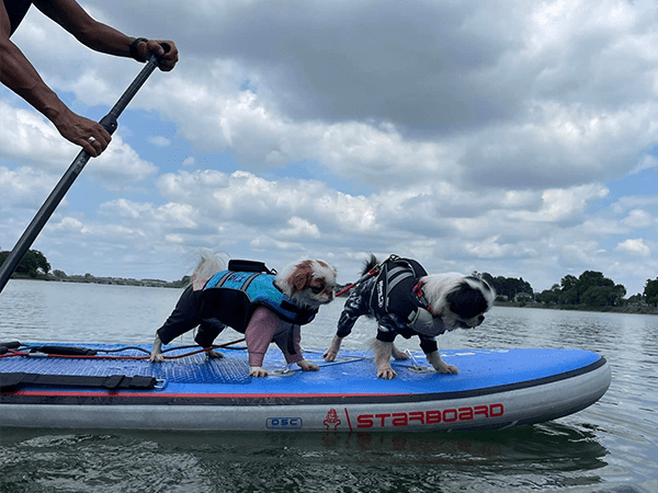 GEWALK 高性能のフローティングベスト ウェーブライダーライフベスト