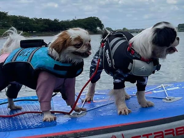 GEWALK 高性能のフローティングベスト ウェーブライダーライフベスト