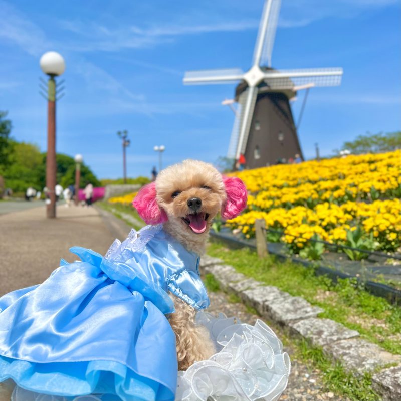 BONNNIE&COの「ボニーボーテ」