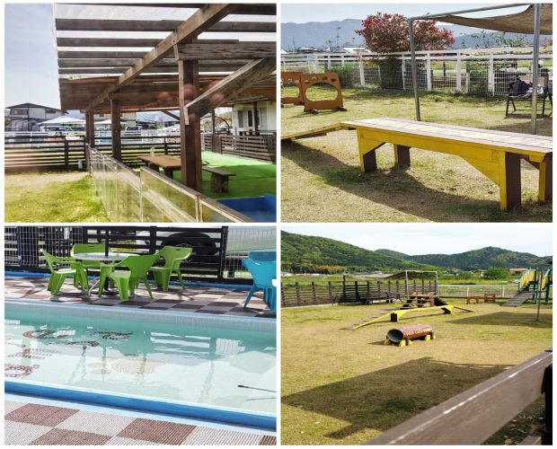 ドックランとプール