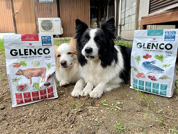 スーパードッグフード「GLENCO」いざお試し!