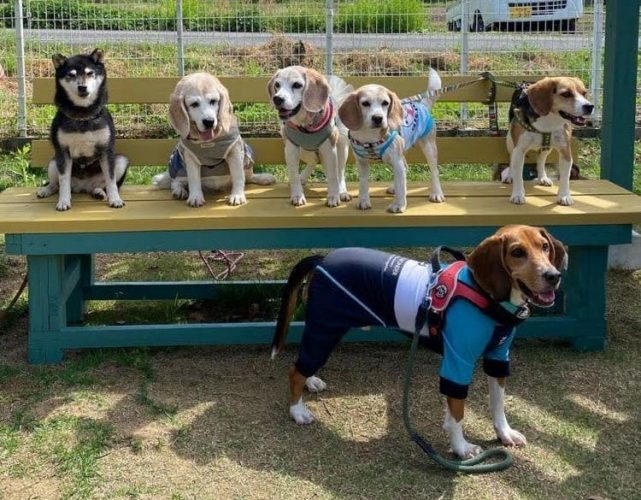 最後に今日のメンバーです