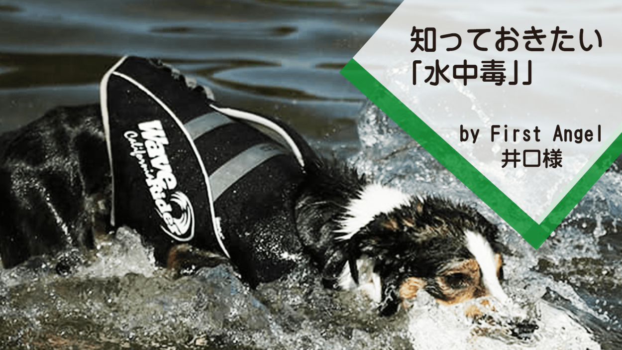 知っておきたい｢水中毒｣ by　First Angel 井口様