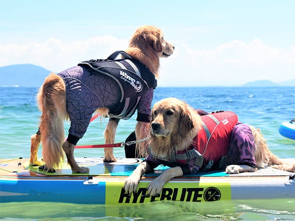 ルーシー　イブ