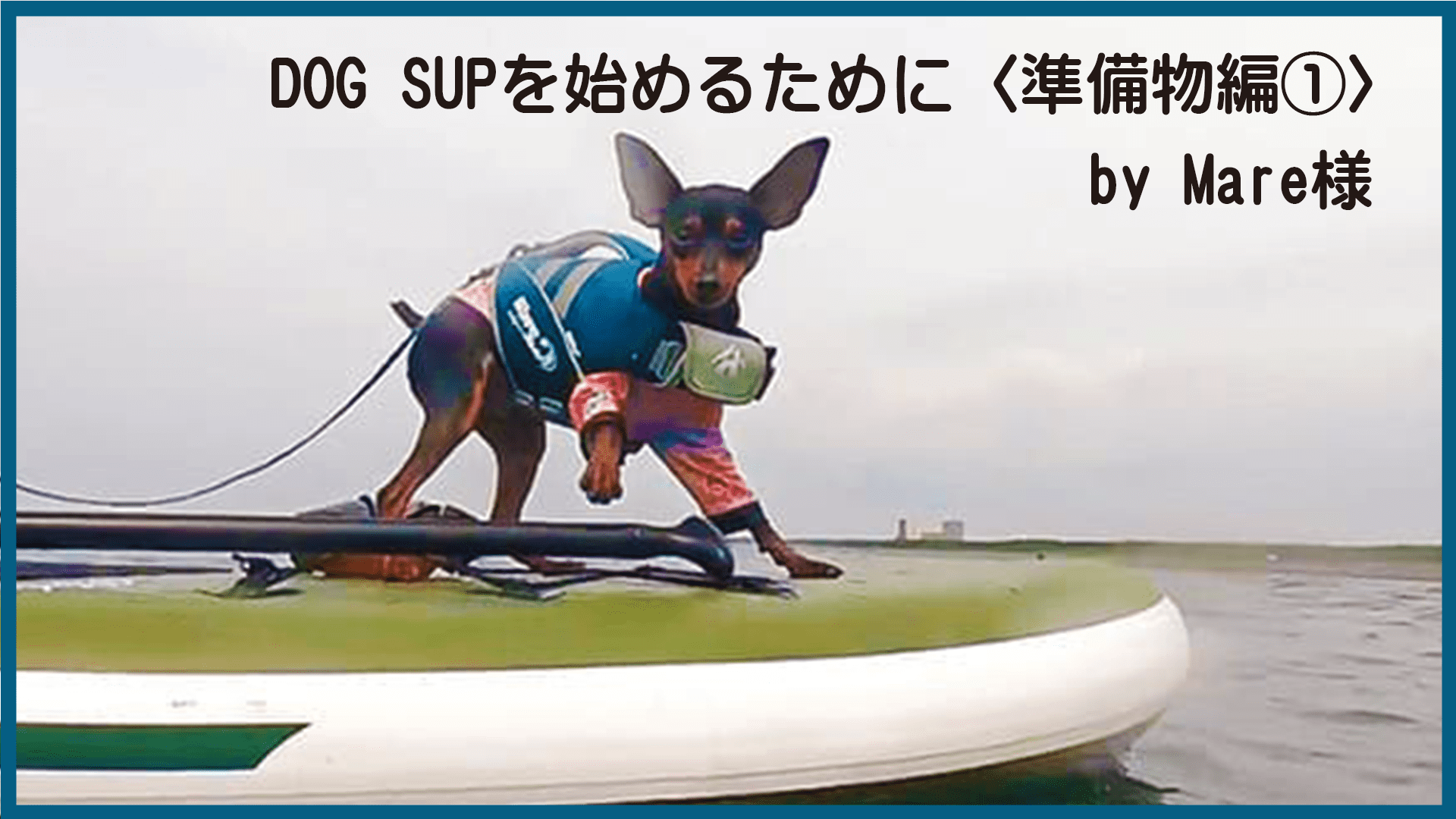 DOG SUPを始めるために〈準備物編①〉 by Mare様 - LUXCOLLE