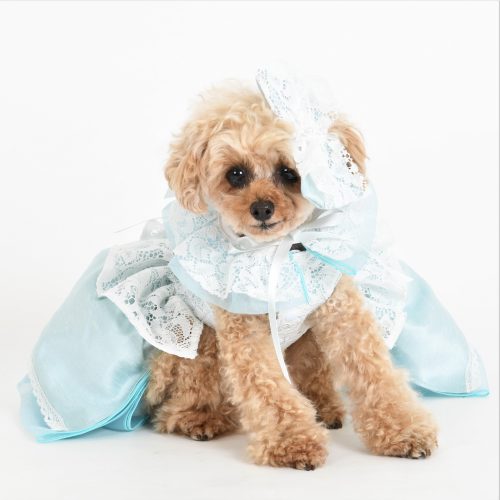 ボニーアンドコー　　ボニーカリヌゥ BONNIE&CO. 2024春夏新発売！！ - LUXCOLLE