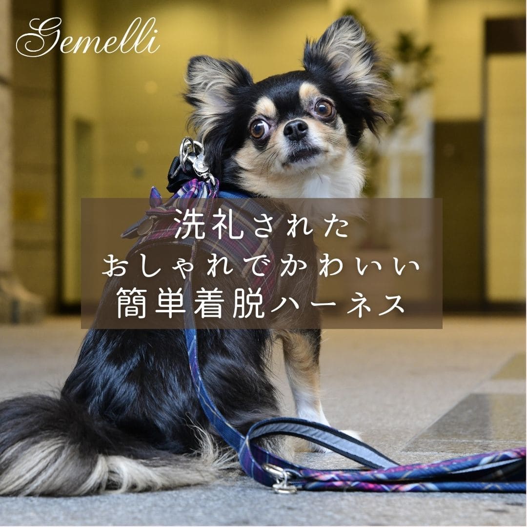 洗礼されたおしゃれでかわいいGemelli 簡単着脱ハーネス