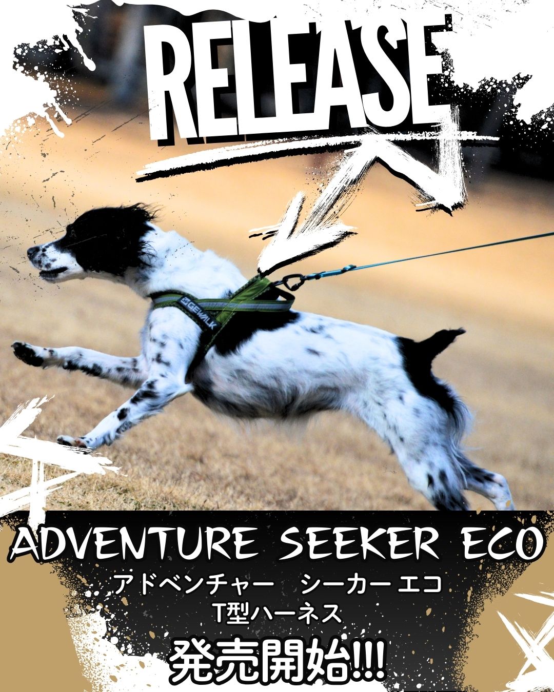 一緒に冒険しよう！アドベンチャー シーカー エコ 発売開始！GEWALK T