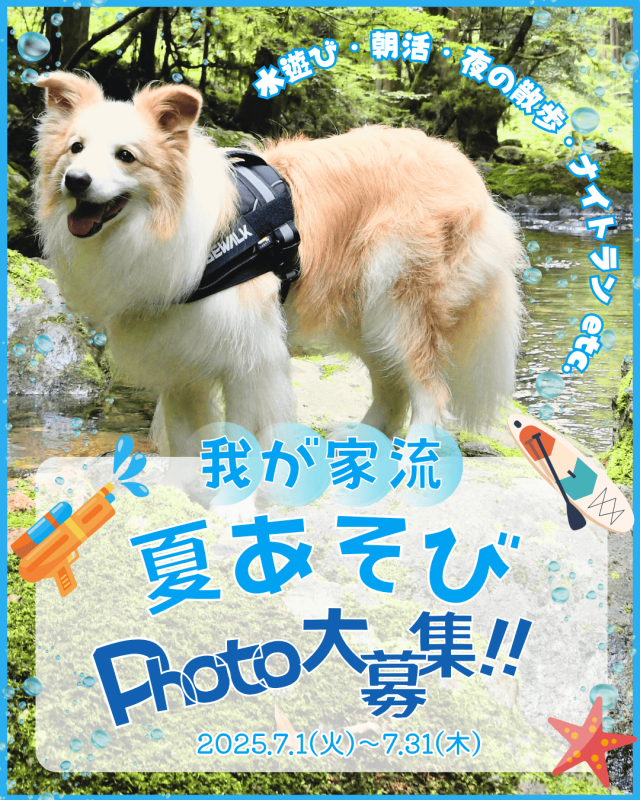 「我が家流夏あそび」PHOTO大募集!!７月３１日(木)まで