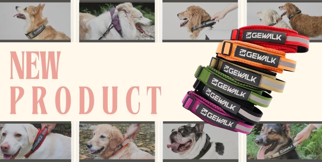 中型・大型犬向け GEWALKから新しい首輪が登場！ - LUXCOLLE