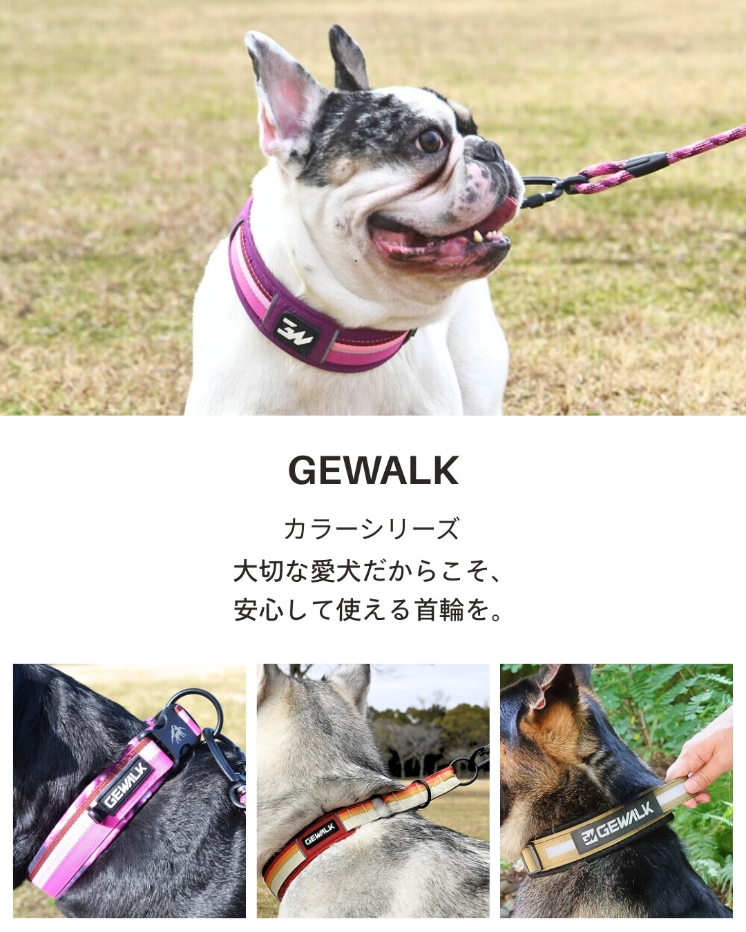 GEWALK大型犬・中型犬 おすすめカラー（首輪）3選！ - LUXCOLLE