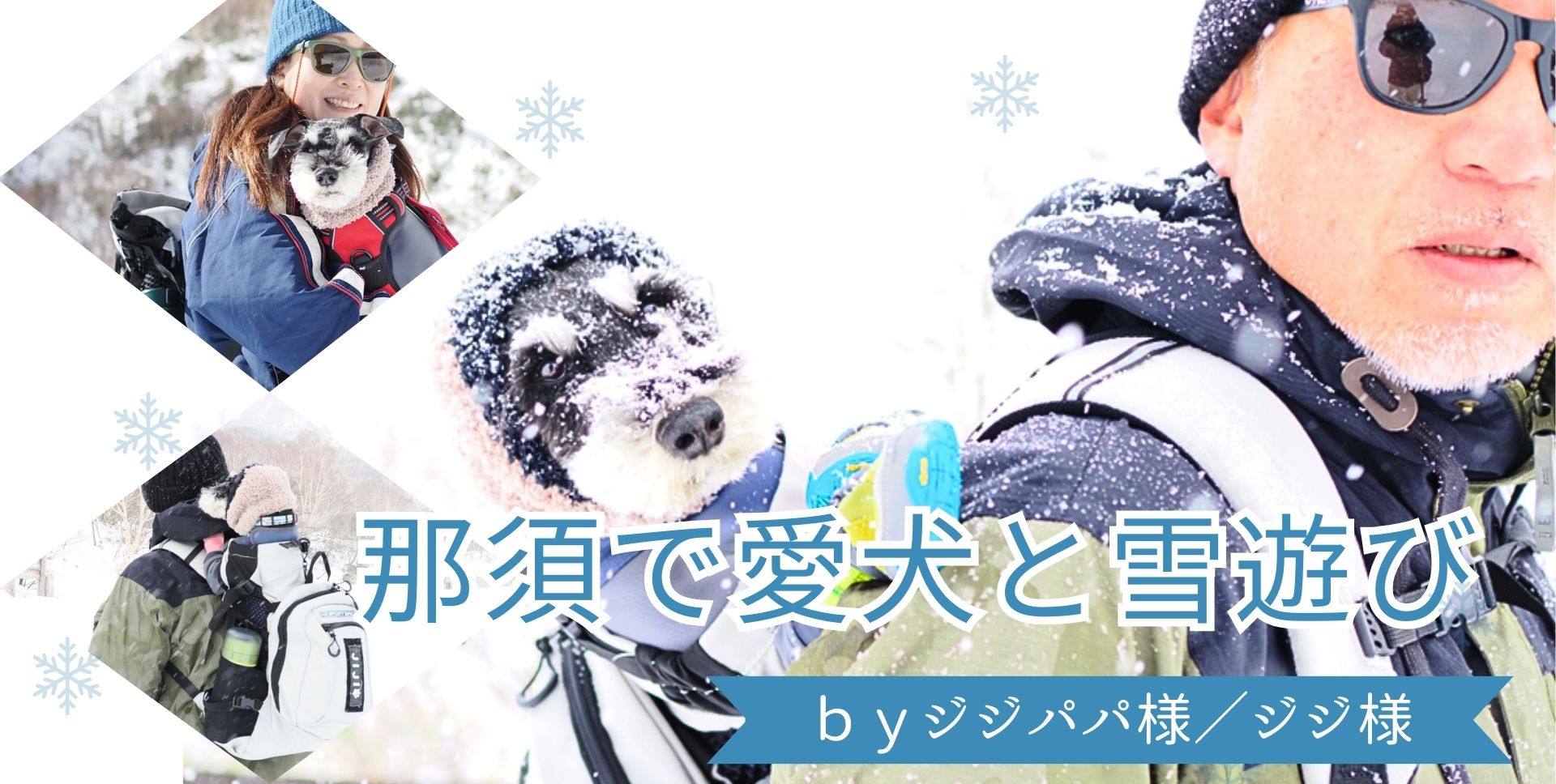 那須で愛犬と雪遊び byジジパパ様／ジジ様 - LUXCOLLE ONLINESTORE 